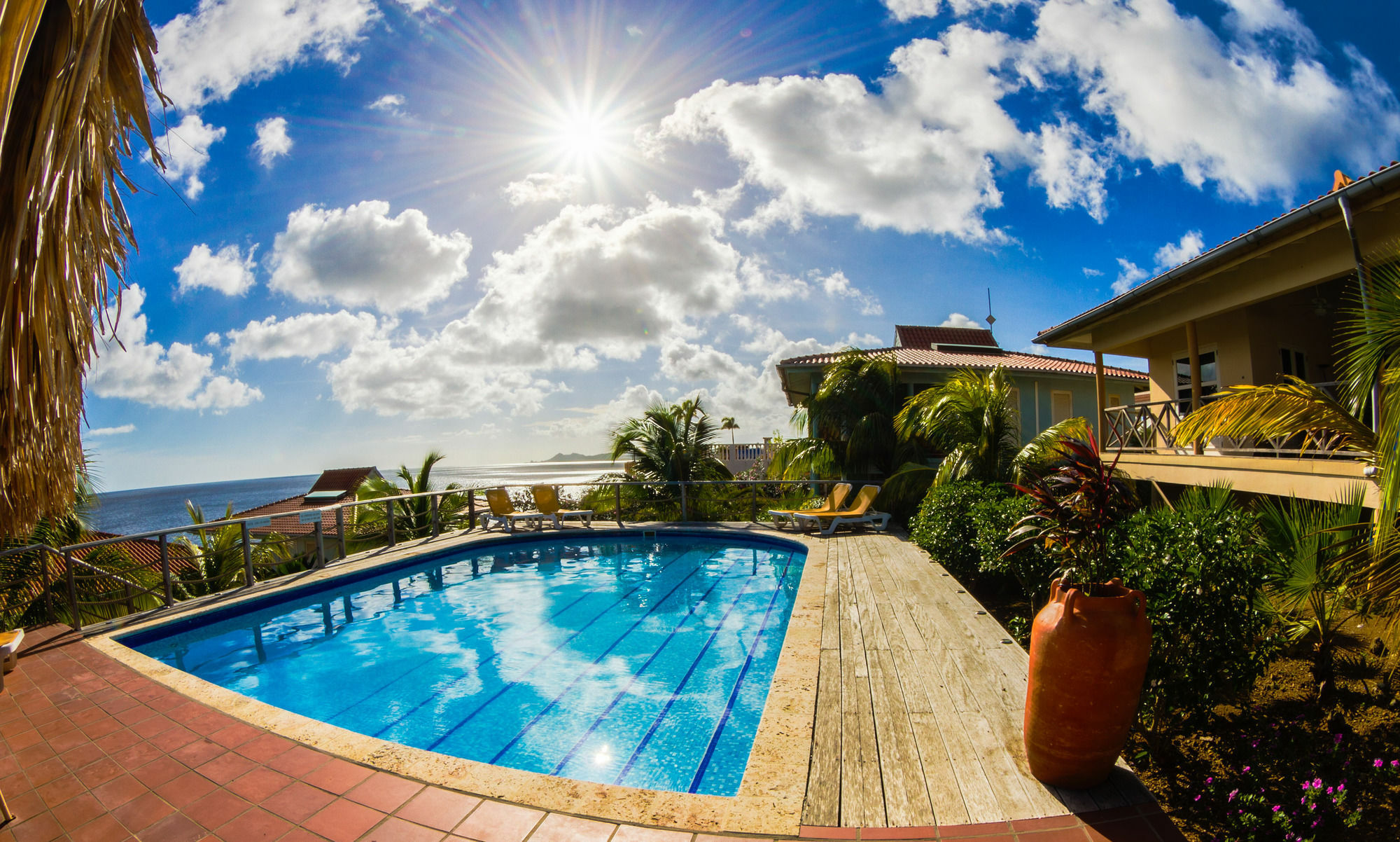 Caribbean Club Bonaire Aparthotel Bagian luar foto